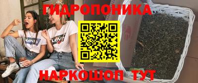 бошки Гай